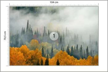 Fototapeta Mgła Nad Jesiennym Lasem - obrazek 3