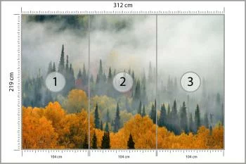 Fototapeta Mgła Nad Jesiennym Lasem - obrazek 3