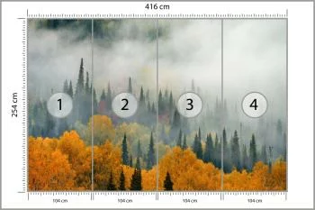 Fototapeta Mgła Nad Jesiennym Lasem - obrazek 3
