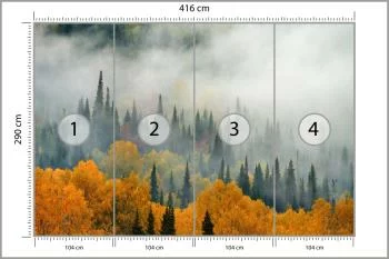 Fototapeta Mgła Nad Jesiennym Lasem - obrazek 3