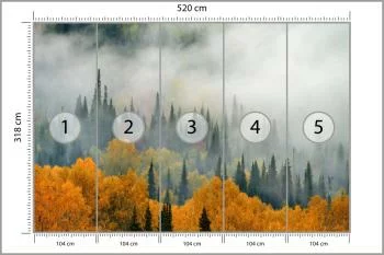Fototapeta Mgła Nad Jesiennym Lasem - obrazek 3