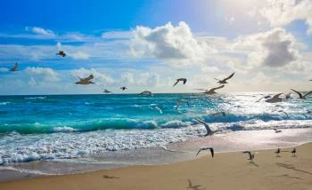 Fototapeta Plaża Morze Fale - obrazek 2