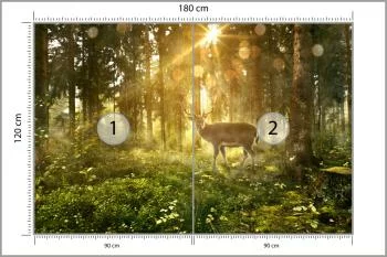 Fototapeta Jeleń O Poranku W Lesie - obrazek 3