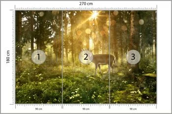 Fototapeta Jeleń O Poranku W Lesie - obrazek 3