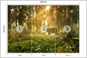 Fototapeta Jeleń O Poranku W Lesie - obrazek 3