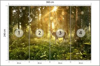 Fototapeta Jeleń O Poranku W Lesie - obrazek 3