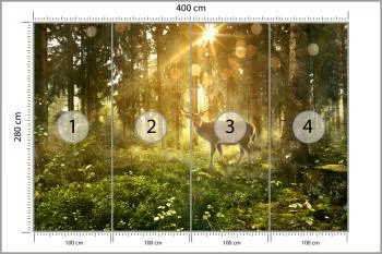 Fototapeta Jeleń O Poranku W Lesie - obrazek 3