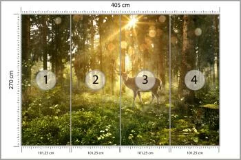 Fototapeta Jeleń O Poranku W Lesie - obrazek 3