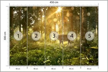 Fototapeta Jeleń O Poranku W Lesie - obrazek 3