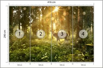 Fototapeta Jeleń O Poranku W Lesie - obrazek 3