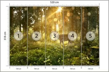 Fototapeta Jeleń O Poranku W Lesie - obrazek 3