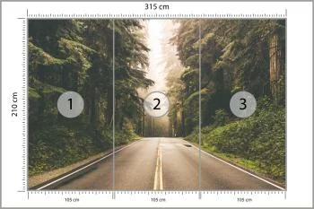 Fototapeta Droga W Amerykańskim Lesie - obrazek 3