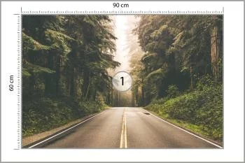 Fototapeta Droga W Amerykańskim Lesie - obrazek 3