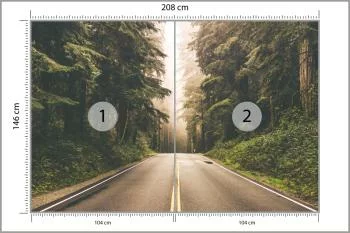 Fototapeta Droga W Amerykańskim Lesie - obrazek 3