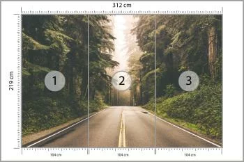 Fototapeta Droga W Amerykańskim Lesie - obrazek 3