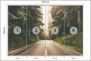 Fototapeta Droga W Amerykańskim Lesie - obrazek 3