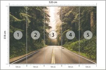 Fototapeta Droga W Amerykańskim Lesie - obrazek 3