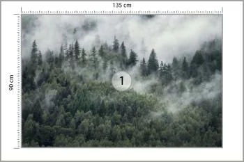 Fototapeta Las W Porannej Mgle - obrazek 3