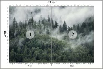 Fototapeta Las W Porannej Mgle - obrazek 3