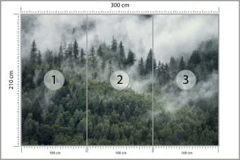 Fototapeta Las W Porannej Mgle - obrazek 3