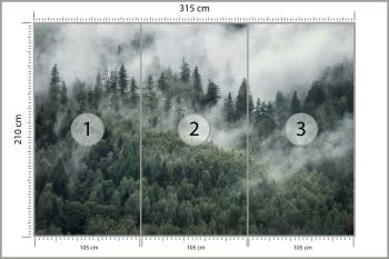 Fototapeta Las W Porannej Mgle - obrazek 3