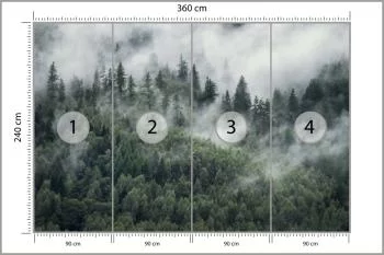 Fototapeta Las W Porannej Mgle - obrazek 3