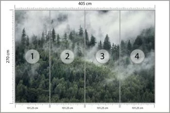 Fototapeta Las W Porannej Mgle - obrazek 3