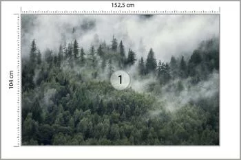 Fototapeta Las W Porannej Mgle - obrazek 3