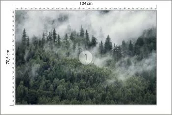 Fototapeta Las W Porannej Mgle - obrazek 3