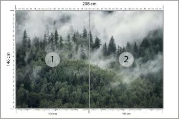 Fototapeta Las W Porannej Mgle - obrazek 3