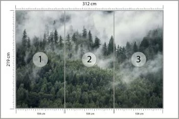 Fototapeta Las W Porannej Mgle - obrazek 3