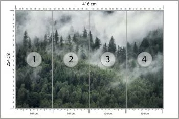 Fototapeta Las W Porannej Mgle - obrazek 3