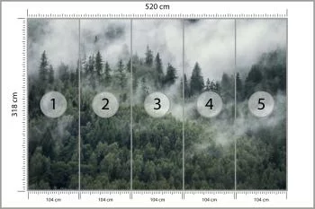 Fototapeta Las W Porannej Mgle - obrazek 3