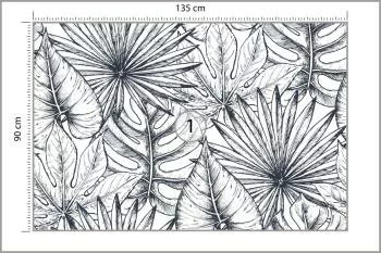 Fototapeta Liście Monstera - obrazek 3