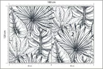 Fototapeta Liście Monstera - obrazek 3