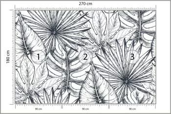 Fototapeta Liście Monstera - obrazek 3