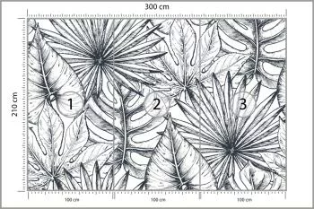 Fototapeta Liście Monstera - obrazek 3