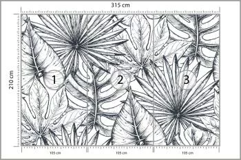 Fototapeta Liście Monstera - obrazek 3