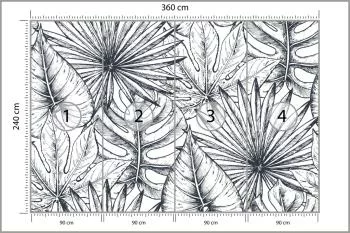 Fototapeta Liście Monstera - obrazek 3