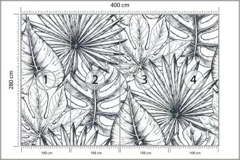 Fototapeta Liście Monstera - obrazek 3