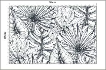 Fototapeta Liście Monstera - obrazek 3