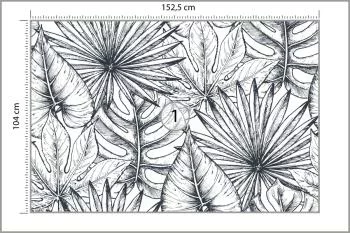 Fototapeta Liście Monstera - obrazek 3