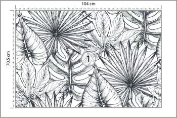 Fototapeta Liście Monstera - obrazek 3