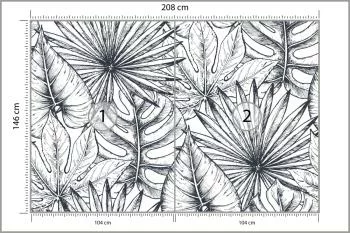 Fototapeta Liście Monstera - obrazek 3