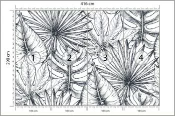 Fototapeta Liście Monstera - obrazek 3