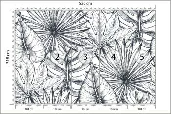 Fototapeta Liście Monstera - obrazek 3