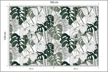 Fototapeta Liście Monstera - obrazek 3