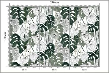 Fototapeta Liście Monstera - obrazek 3
