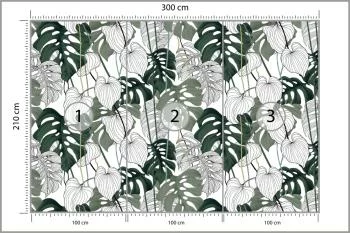 Fototapeta Liście Monstera - obrazek 3