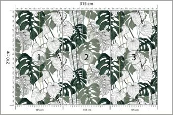 Fototapeta Liście Monstera - obrazek 3